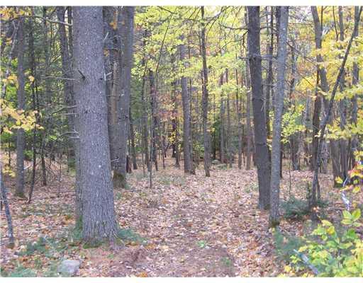 2 Dawes Hill Road Harrison, ME 04040 - Photo 3 of 8 Land. Mixture of mature tree growth....