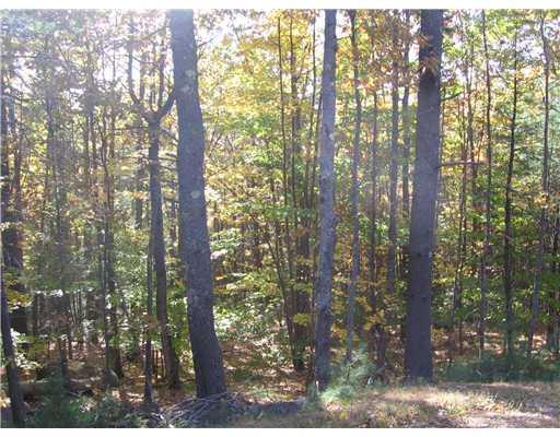 2 Dawes Hill Road Harrison, ME 04040 - Photo 8 of 8 Land/Lot. Wooded building site.