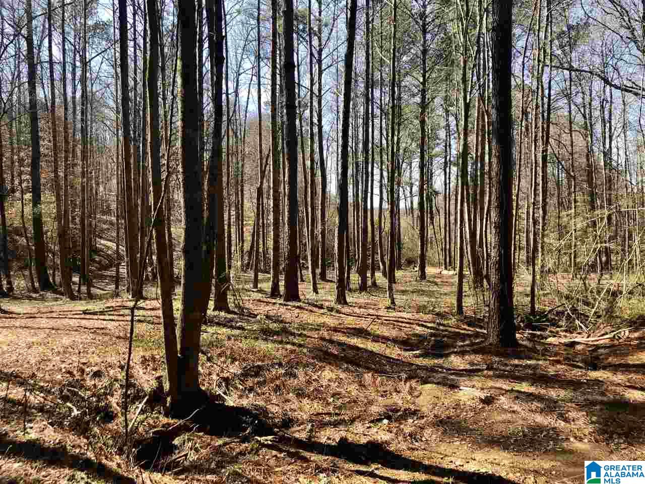 Campbell Street, Unit 1 Heflin, AL 36264 - Photo 11 of 15