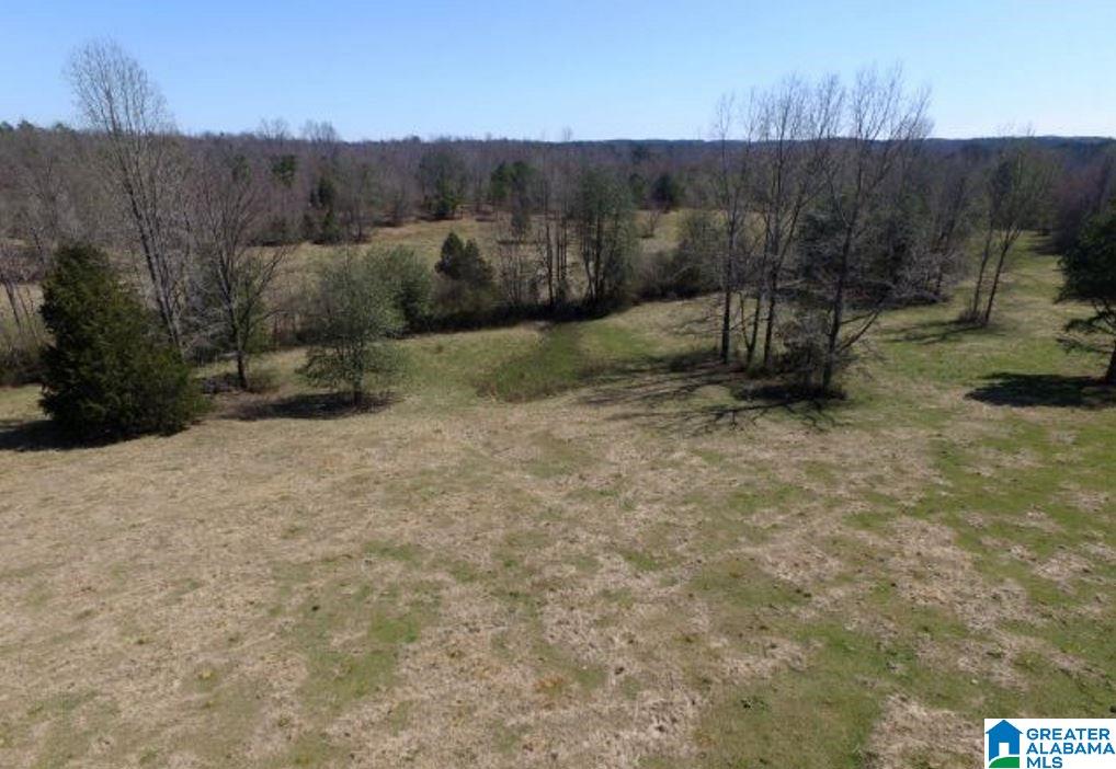853 Bailey Road Cragford, AL 36255 - Photo 33 of 39