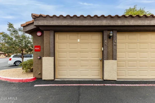 a park view with large trees and flower plants