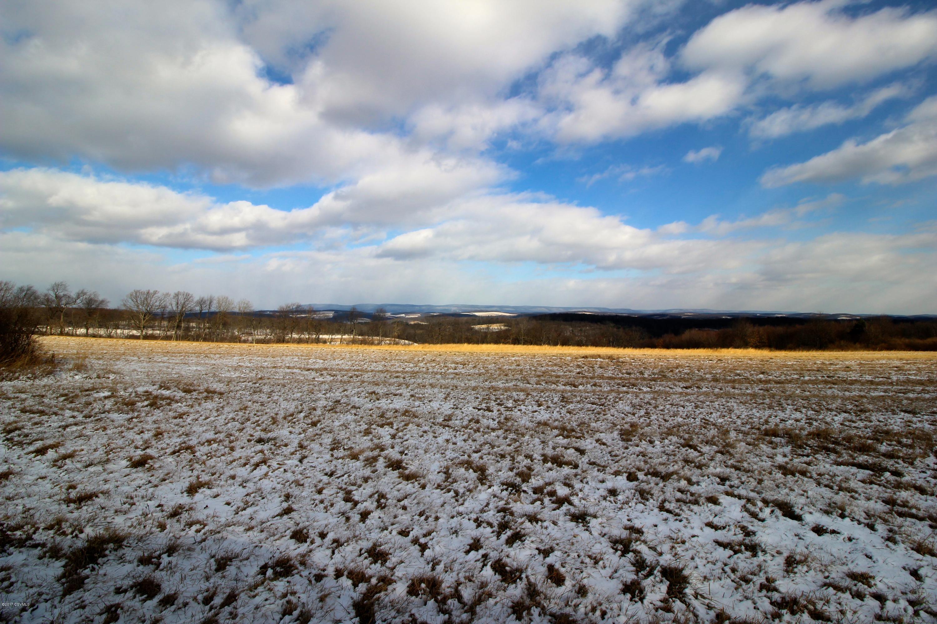 Maple Ridge Millville, PA 17846 - Photo 4 of 5