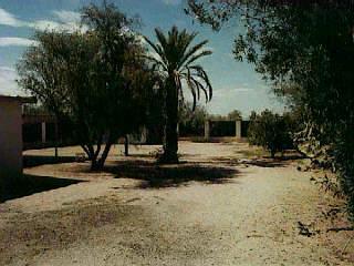 31 East Delta Road Tucson, AZ 85706 - Photo 7 of 8