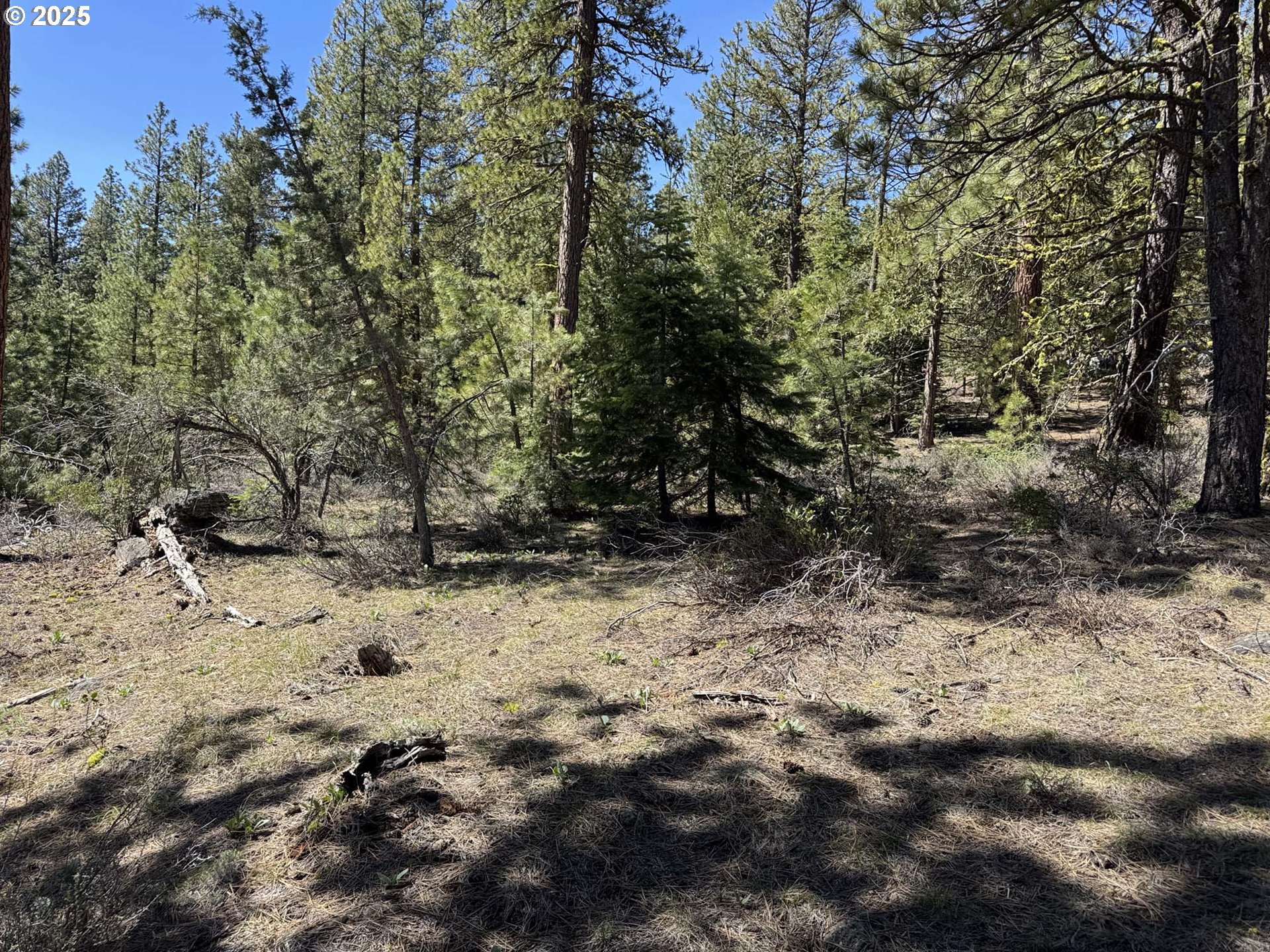 Horned Owl Lane Bonanza, OR 97623 - Photo 13 of 44