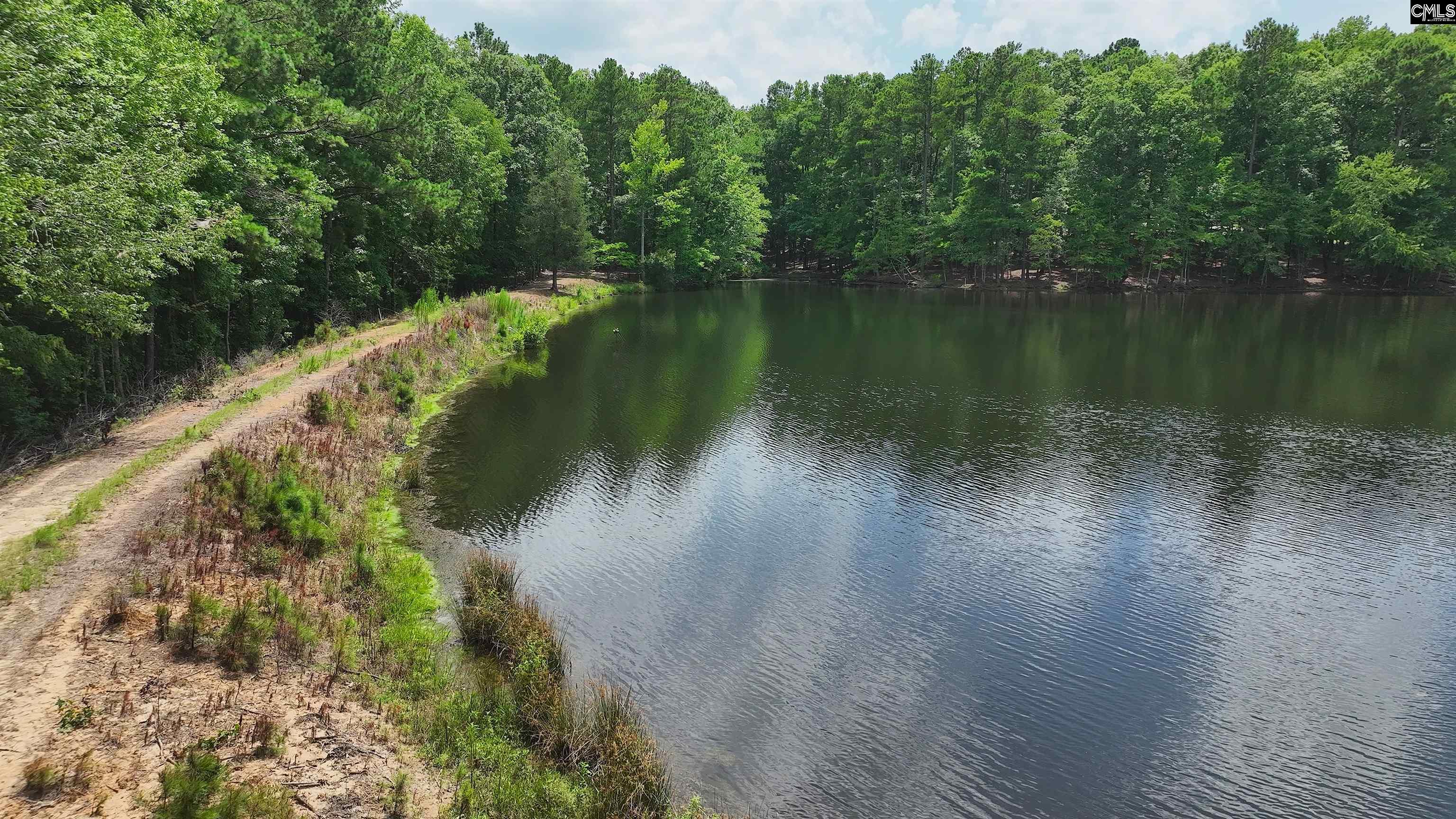 812 Sandfield Road Blythewood, SC 29016 - Photo 20 of 25 Gallery Image 20