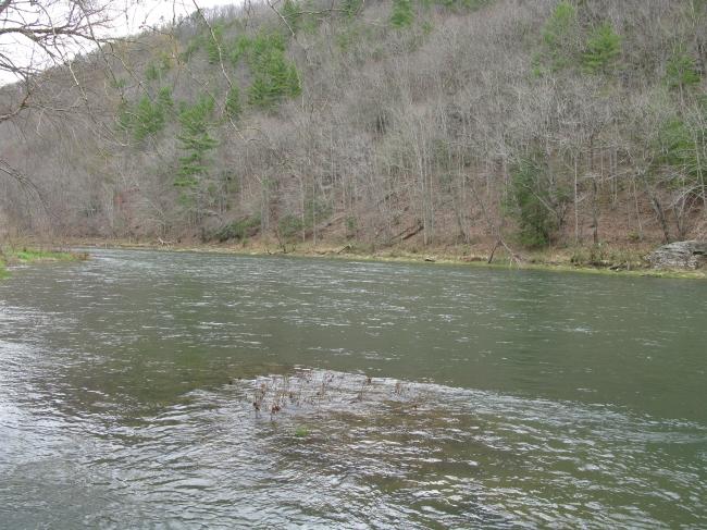 Lot #14 Spice Run Road Hillsboro, WV 24946 - Photo 7 of 7 Enjoy access to the Greenbrier River