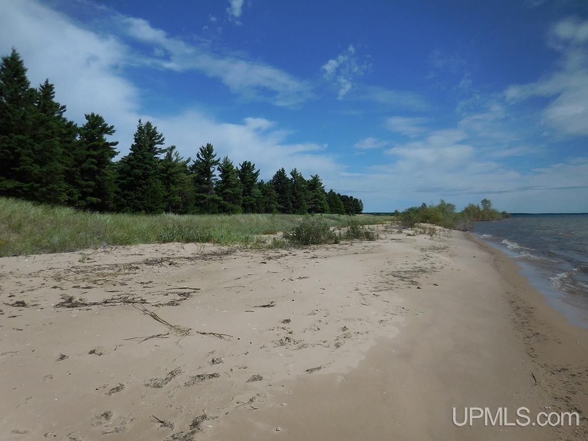 Tbd Thompson Trails Road, Unit PARCEL D Manistique, MI 49854 - Photo 1 of 13