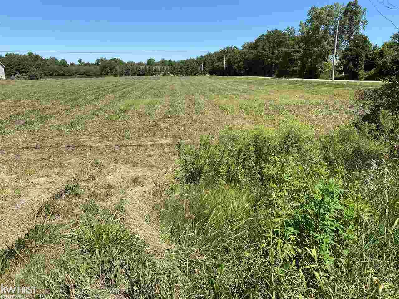 0 Lytle Road Corunna, MI 48817 - Photo 6 of 8