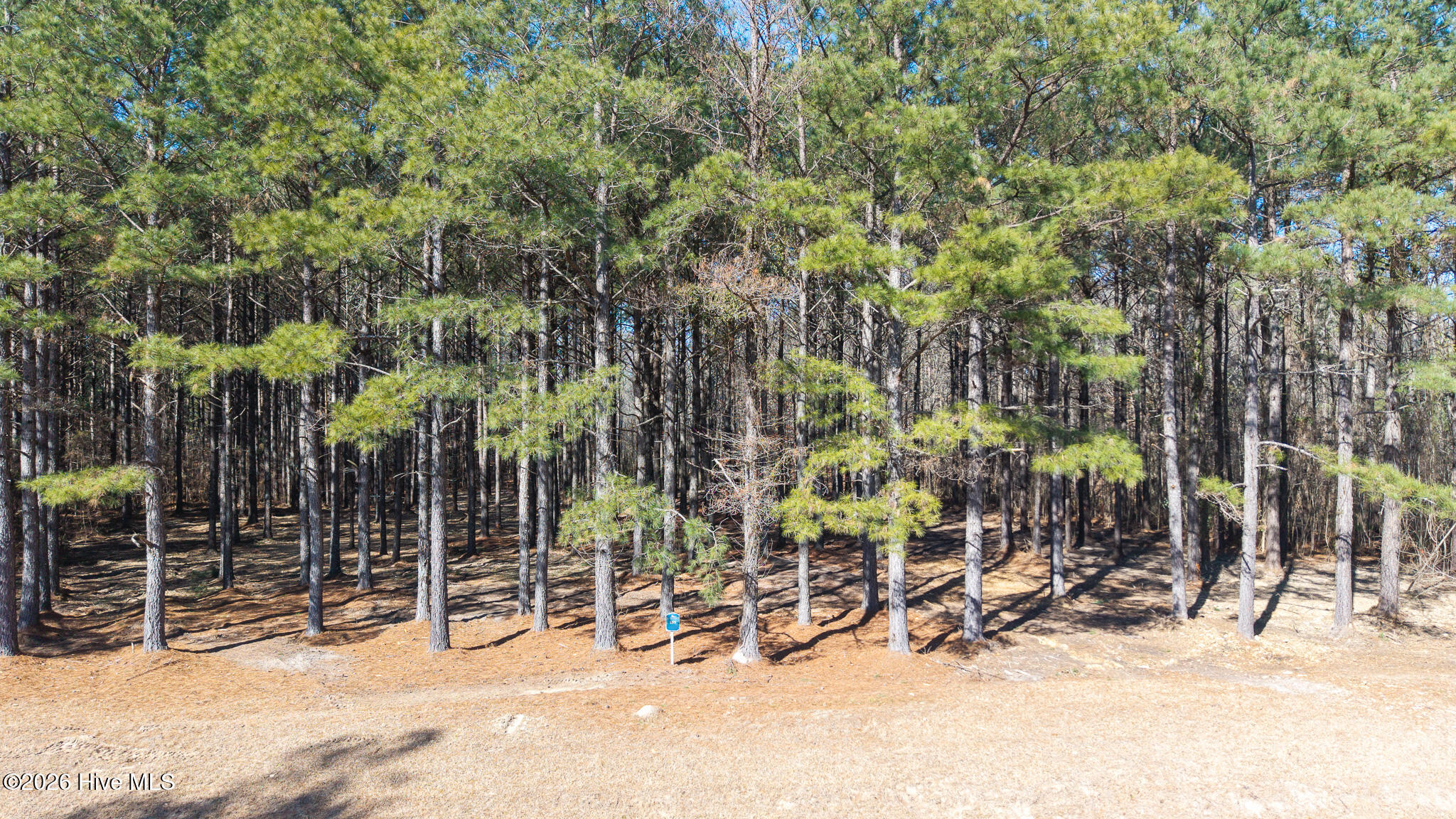 285 Riversound Drive Edenton, NC 27932 - Photo 4 of 11 Lot 185