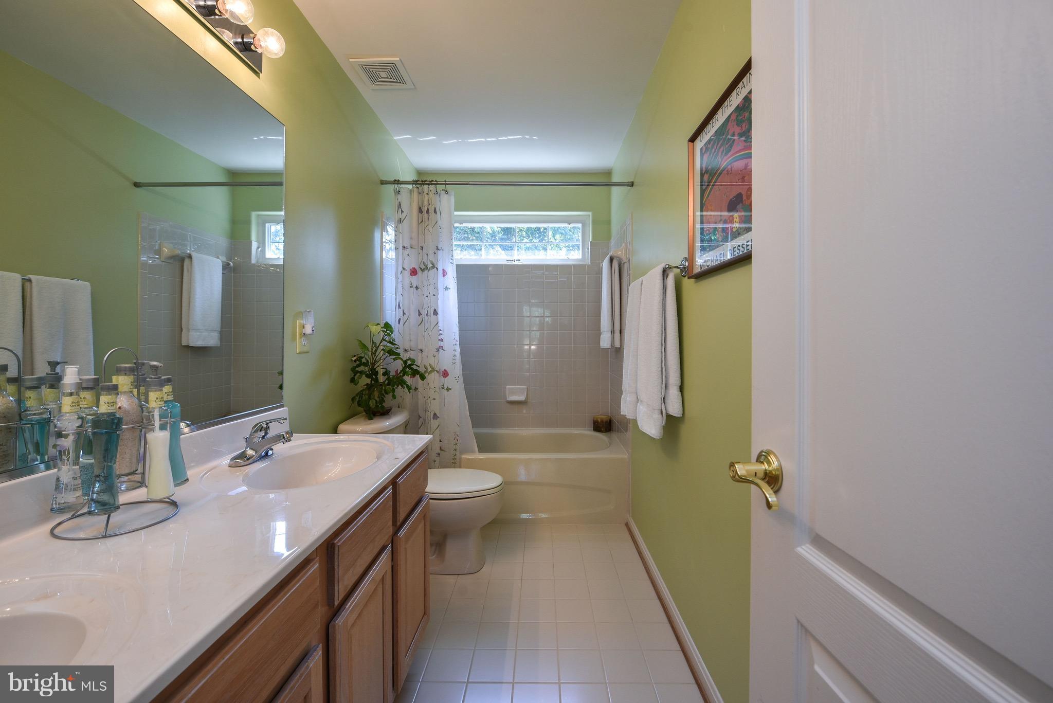 6865 North Stuart Road King George, VA 22485 - Photo 21 of 30 a bathroom with a sink a toilet and shower