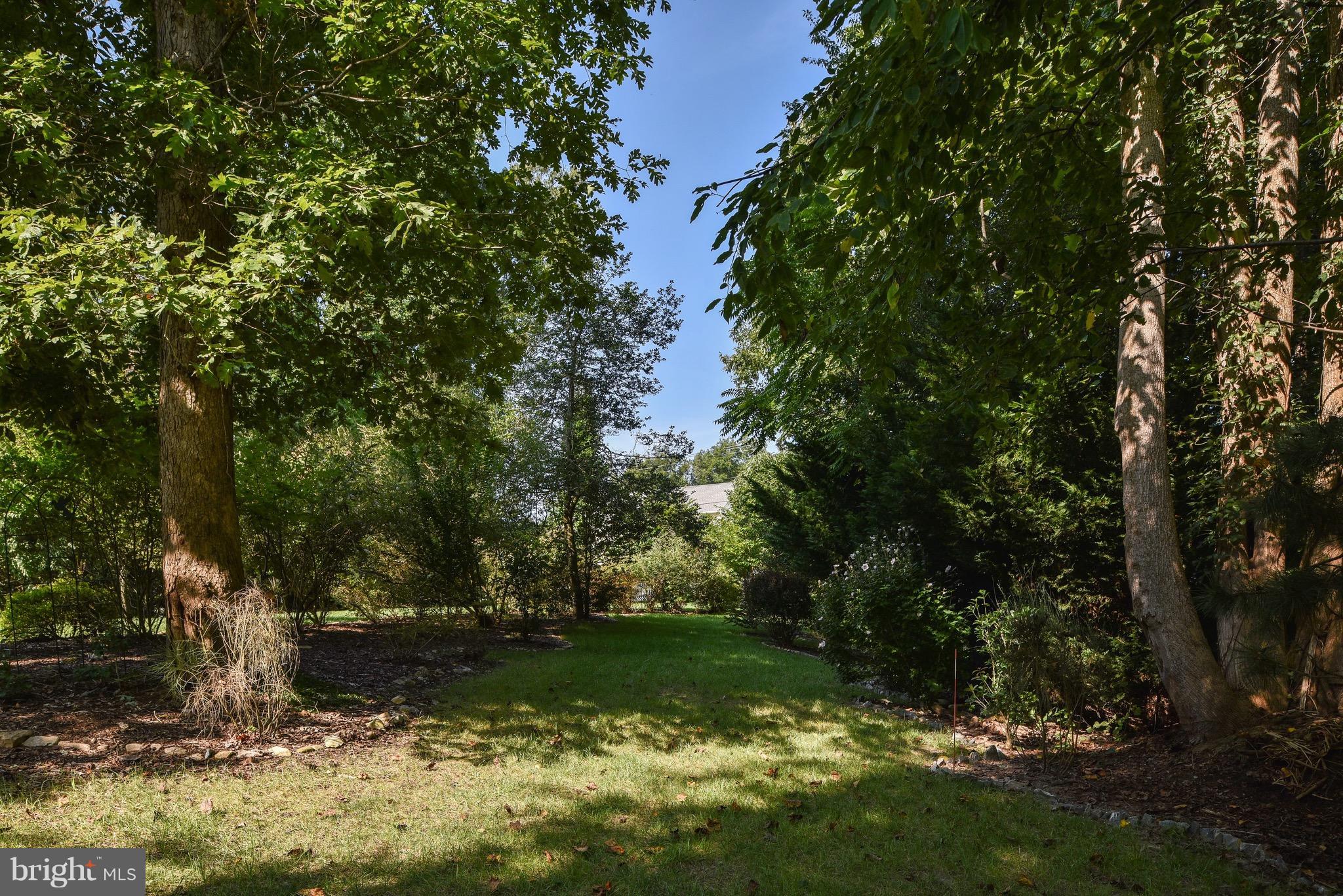 6865 North Stuart Road King George, VA 22485 - Photo 27 of 30 a view of a tree in a yard