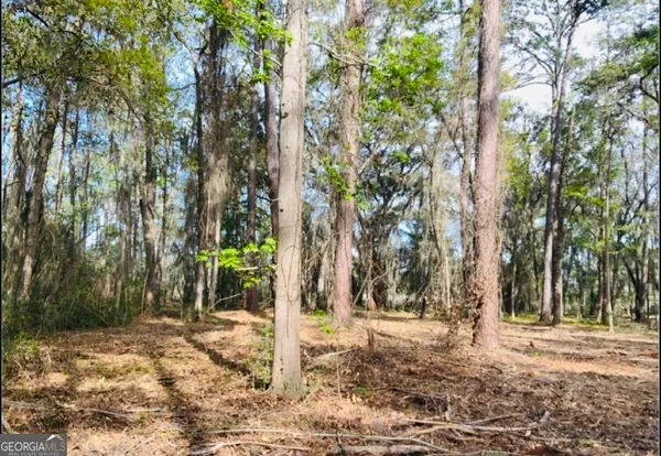 $225,000 | 0 West Black Island Road Southeast, Darien, GA 31305