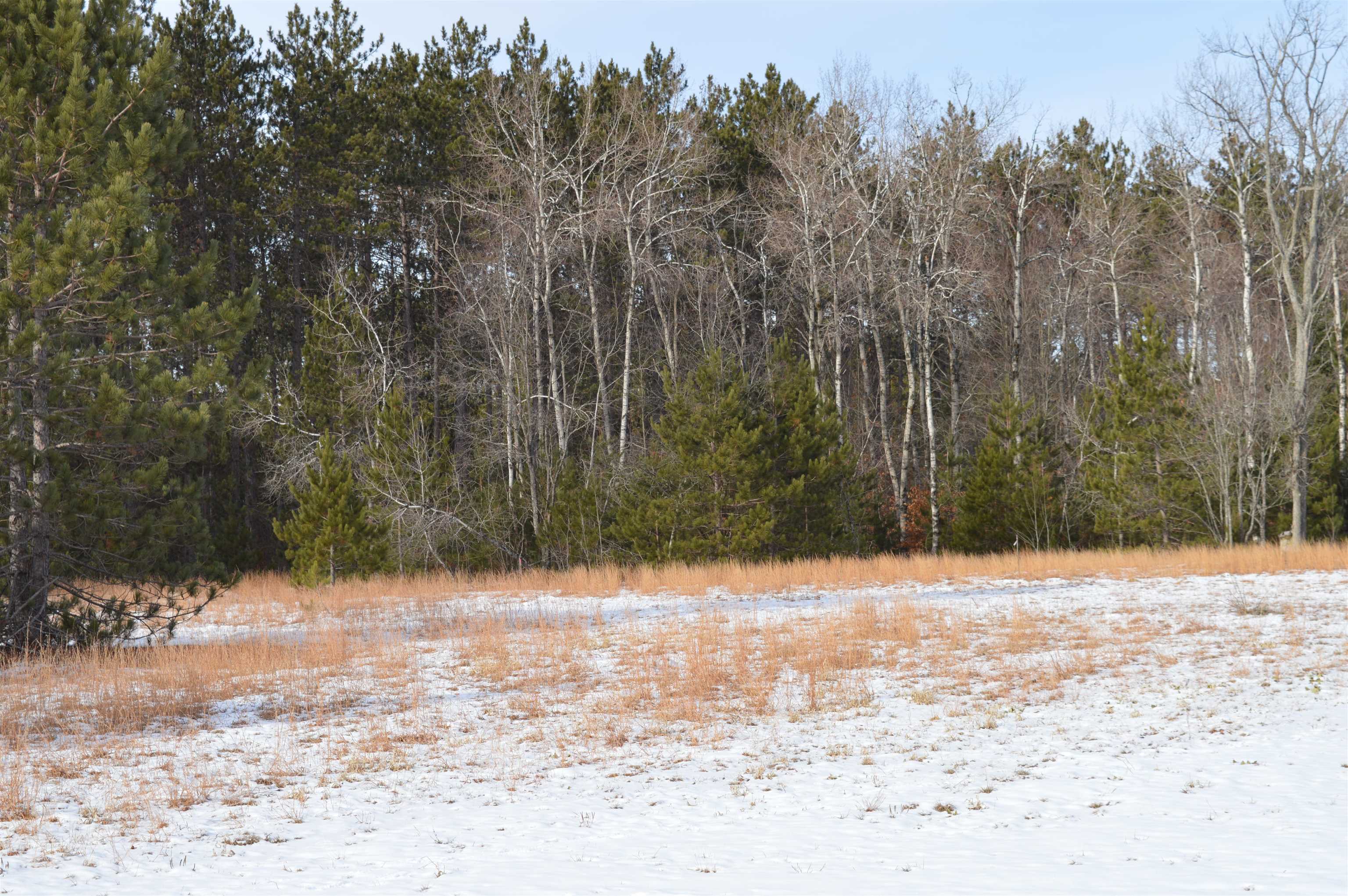 Off Wood Road Northeast Kalkaska, MI 49646 - Photo 7 of 22
