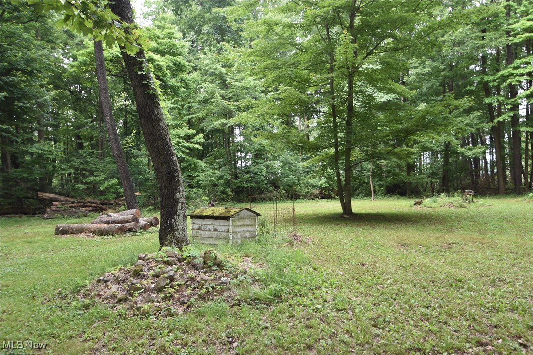 11676 Lisbon Road Salem, OH 44460 - Photo 38 of 38 View of green lawn featuring a view of trees
