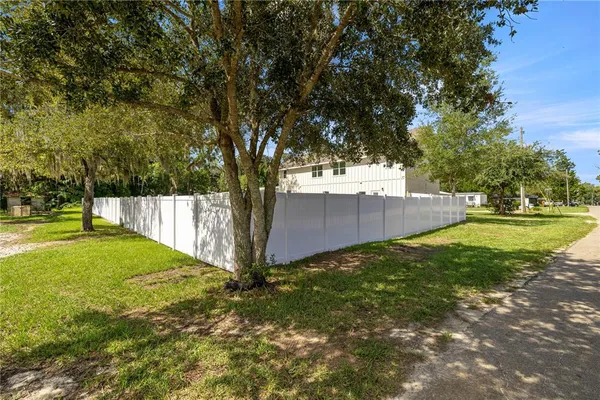 a view of backyard with tree