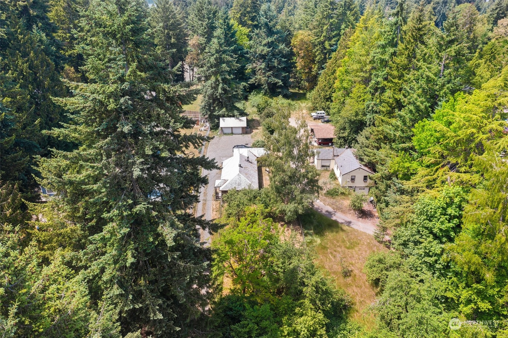 2515 Rocky Point Road Northwest Bremerton, WA 98312 - Photo 25 of 29 a view of a yard with plants and large trees