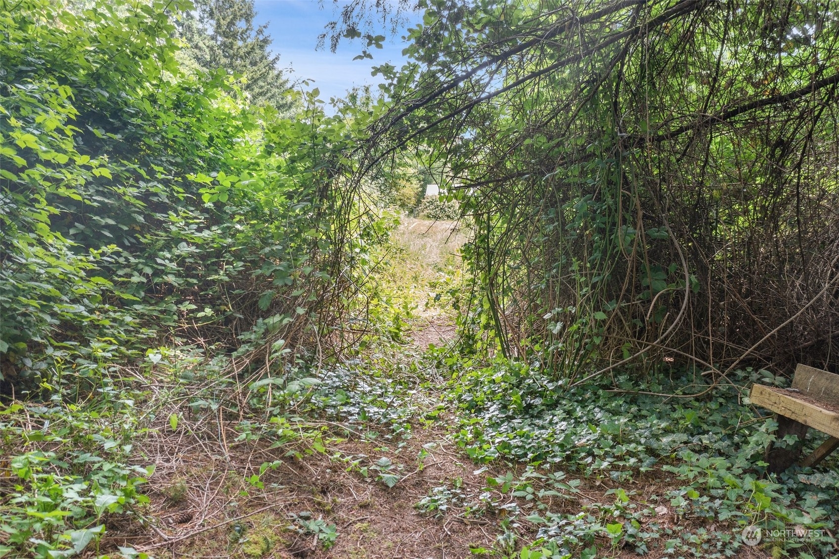 2515 Rocky Point Road Northwest Bremerton, WA 98312 - Photo 27 of 29 a view of a yard with a tree