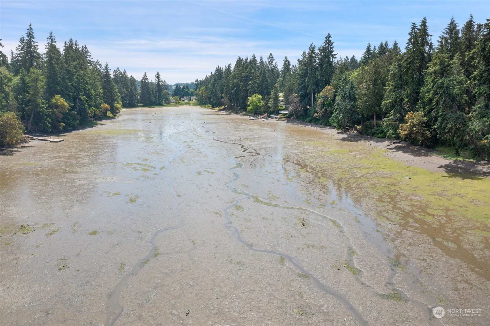 2515 Rocky Point Road Northwest Bremerton, WA 98312 - Photo 29 of 29 a view of a dry yard with trees in the background
