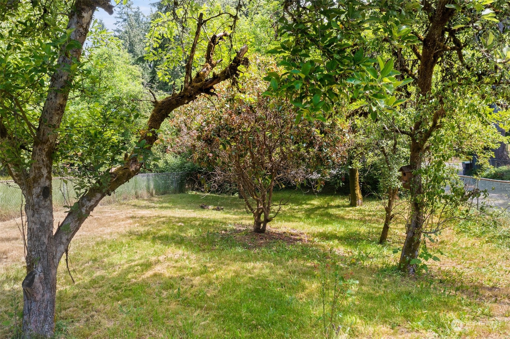 2515 Rocky Point Road Northwest Bremerton, WA 98312 - Photo 7 of 29 a view of yard with trees