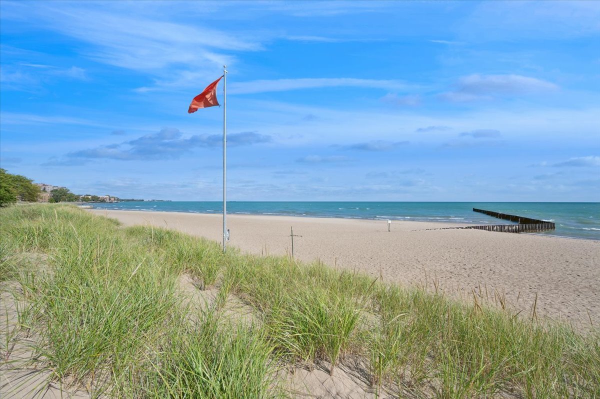 1140 West Lunt Avenue, Unit 1B Chicago, IL 60626 - Photo 13 of 13 a view of a field with an ocean view
