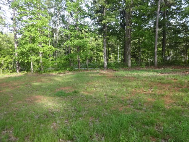 981 West Union Road West Union, SC 29696 - Photo 11 of 36 Gallery Image 11