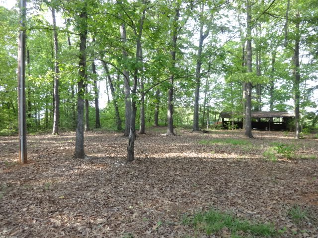981 West Union Road West Union, SC 29696 - Photo 10 of 36 Gallery Image 10