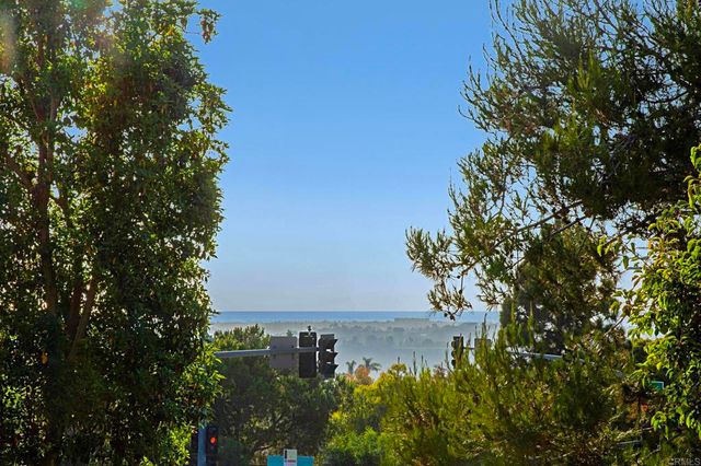 a view of a lake with a tree in the background