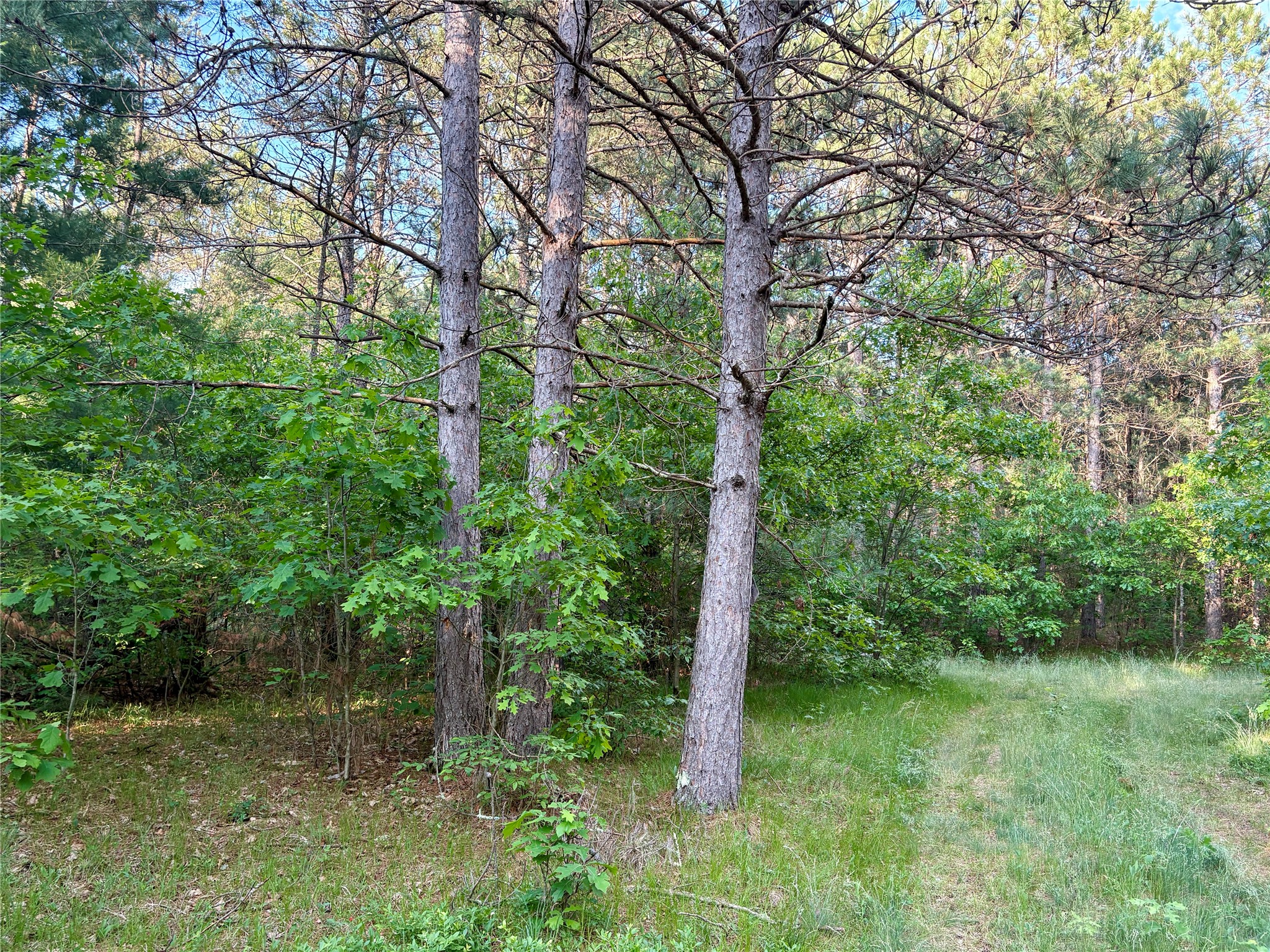 0 Cty Road Augusta, WI 54722 - Photo 45 of 53