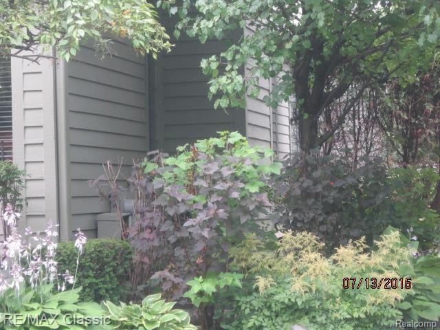 645 South Crooks Road, Unit 4 Clawson, MI 48017 - Photo 6 of 6 IMG_4296.jpg