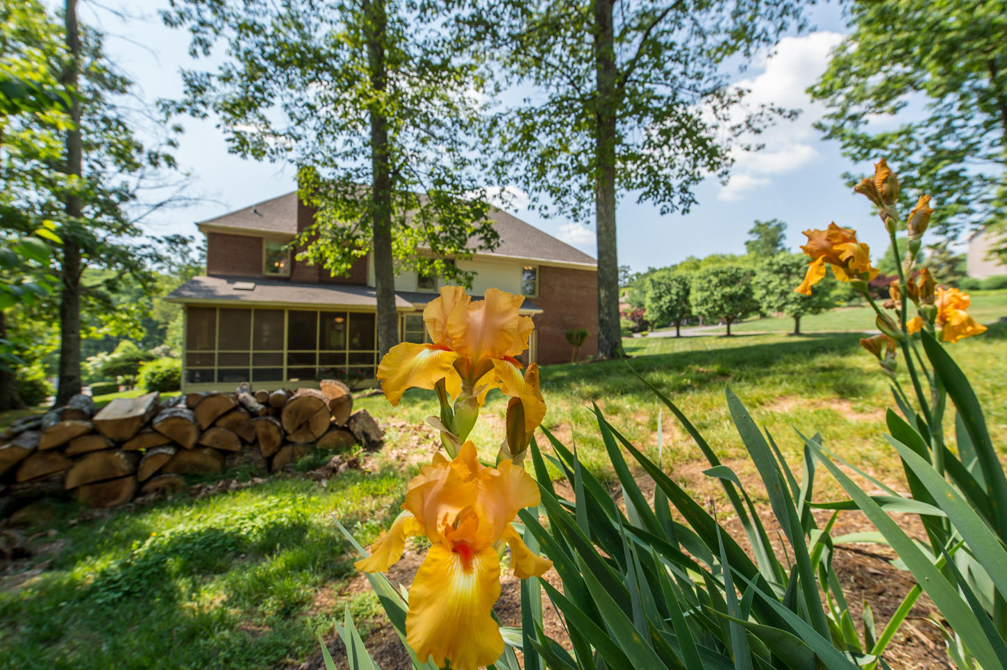 648 Tree Ridge Road Knoxville, TN 37922 - Photo 2 of 35 Back of Home