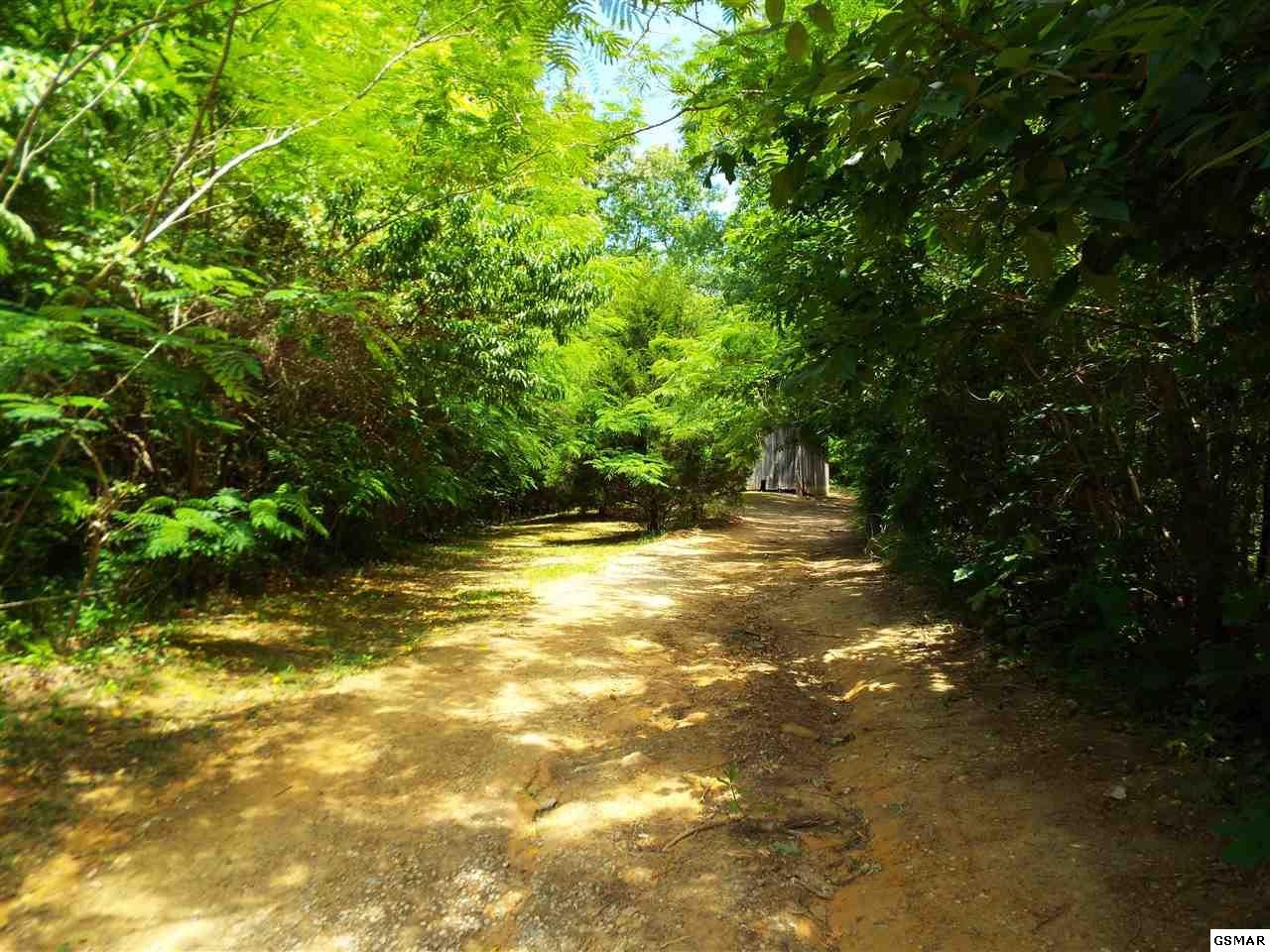 400 Padgett Mill Road Cosby, TN 37722 - Photo 3 of 7