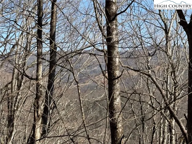 $34,900 | Lot 31 Jewel Weed Trail, Newland, NC 28657