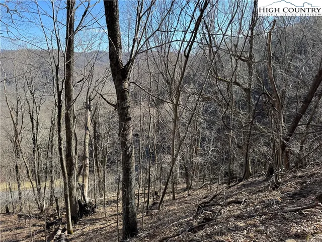 $34,900 | Lot 31 Jewel Weed Trail, Newland, NC 28657
