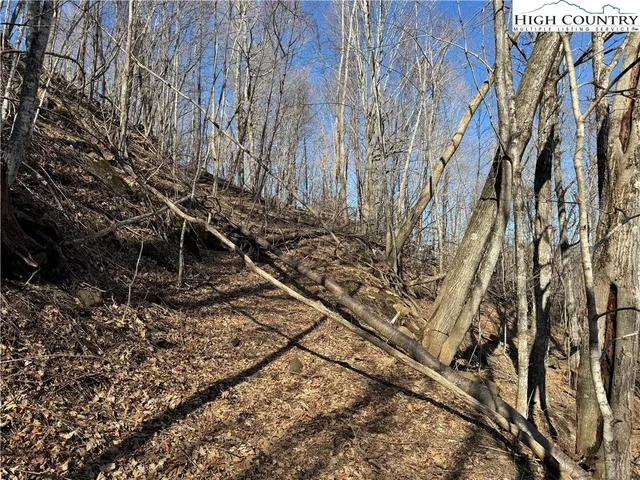 $34,900 | Lot 31 Jewel Weed Trail, Newland, NC 28657