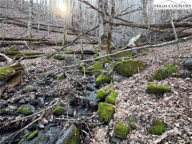 $34,900 | Lot 31 Jewel Weed Trail, Newland, NC 28657