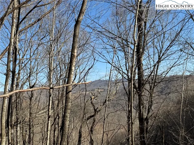 $34,900 | Lot 31 Jewel Weed Trail, Newland, NC 28657