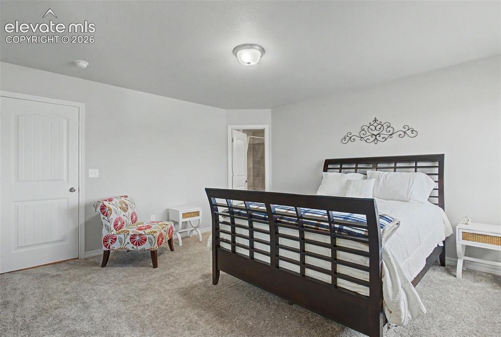 10957 Avena Road Peyton, CO 80831 - Photo 20 of 34