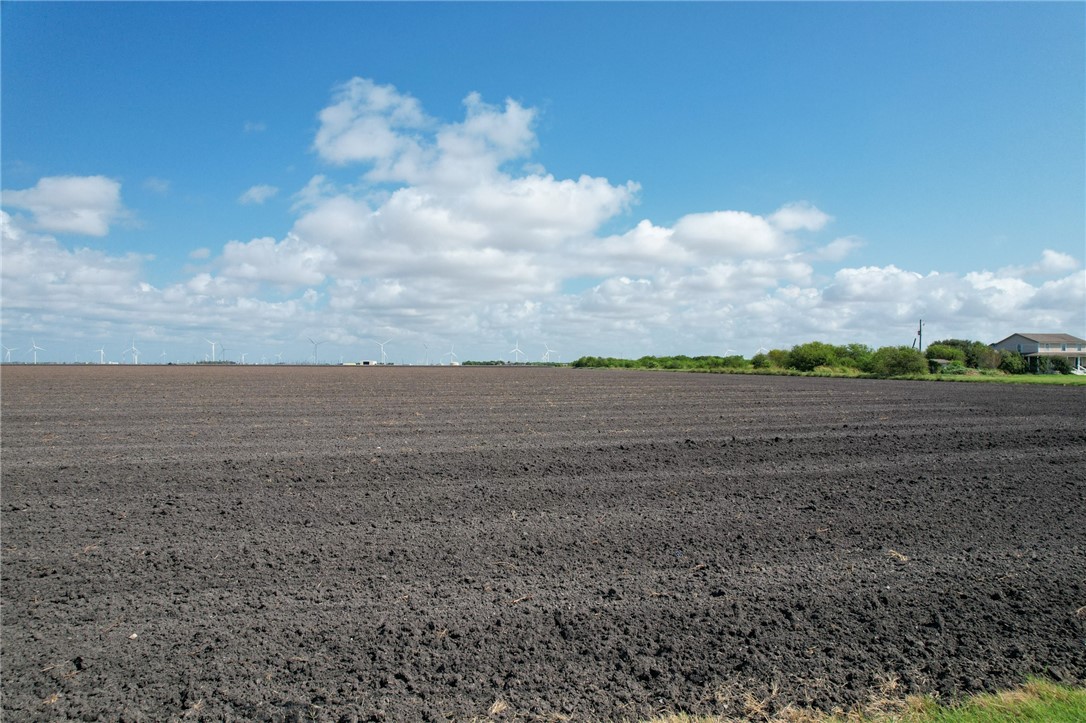 0 Lang Road Taft, TX 78390 - Photo 3 of 4 a view of a field with an ocean