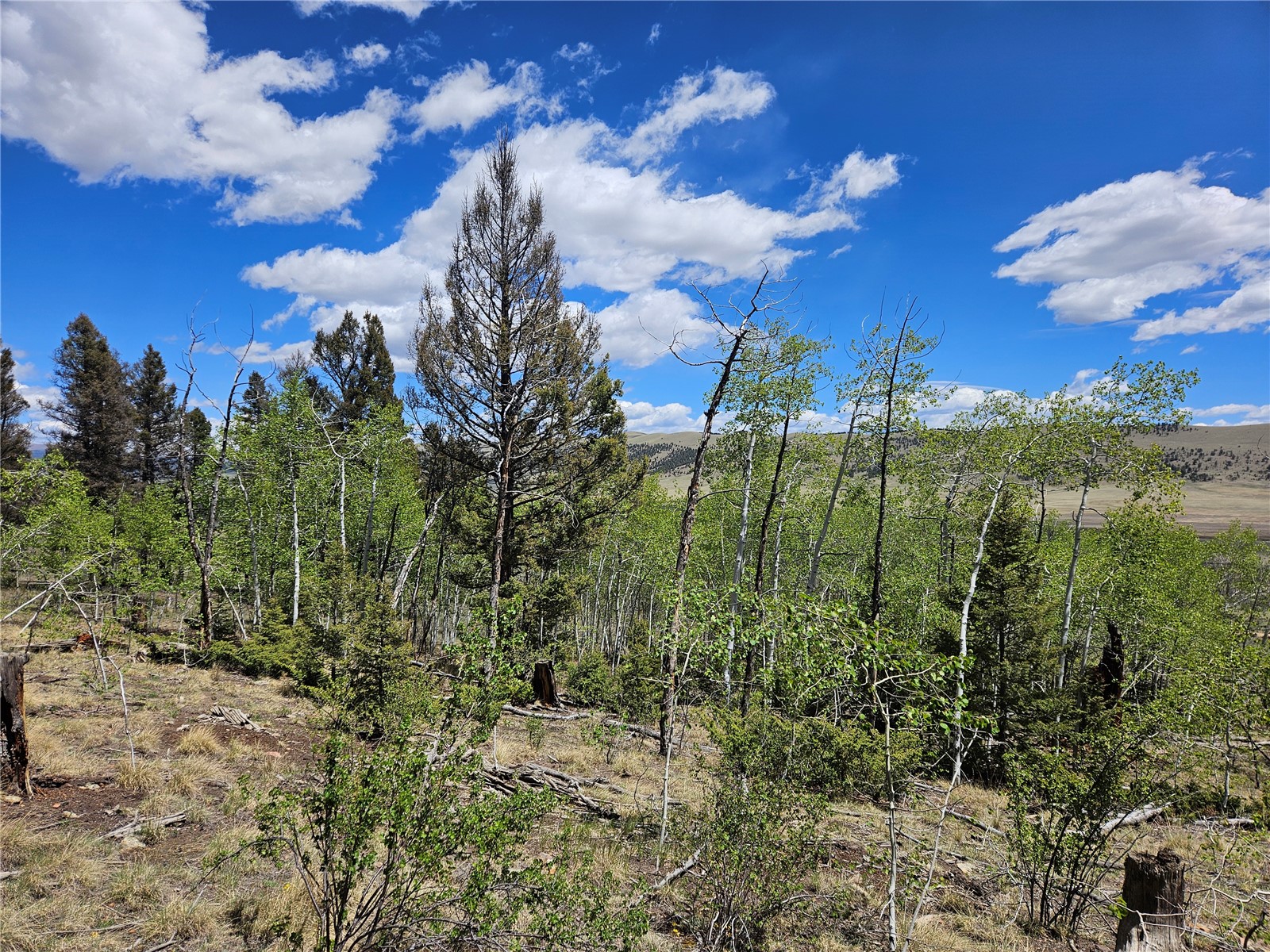 1412 Redhill Road Fairplay, CO 80440 - Photo 44 of 45