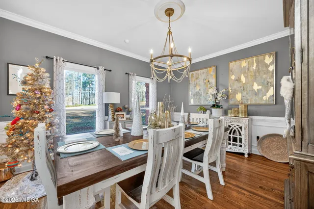 a living room with a potted plant and a large window