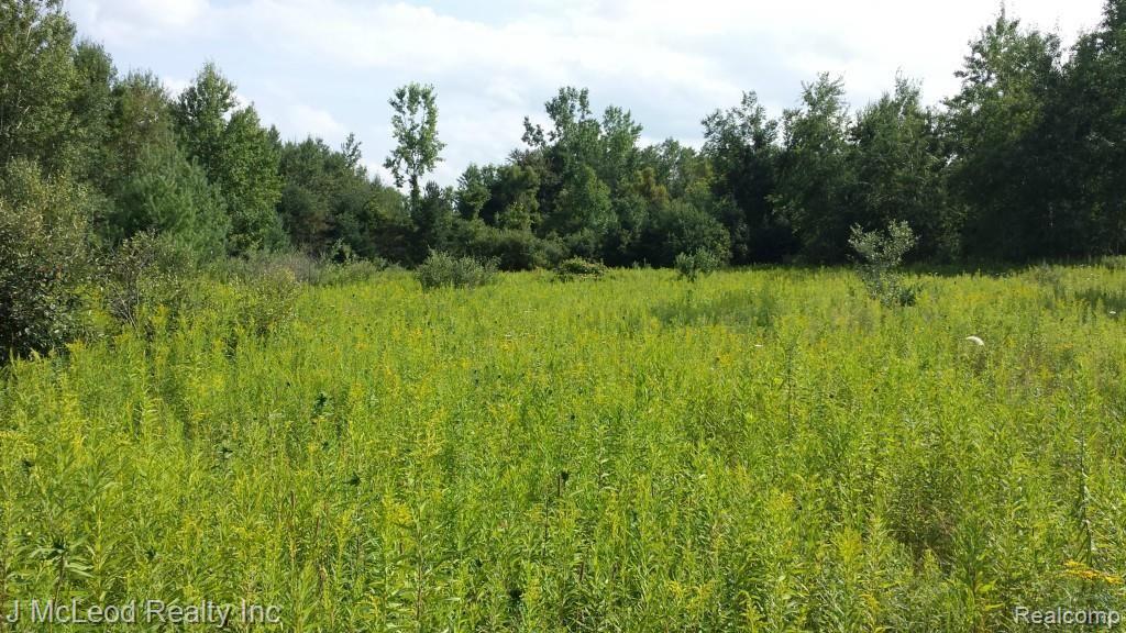 0 West Murphy Lake Road Millington, MI 48746 - Photo 2 of 2 20140818_165205.jpg