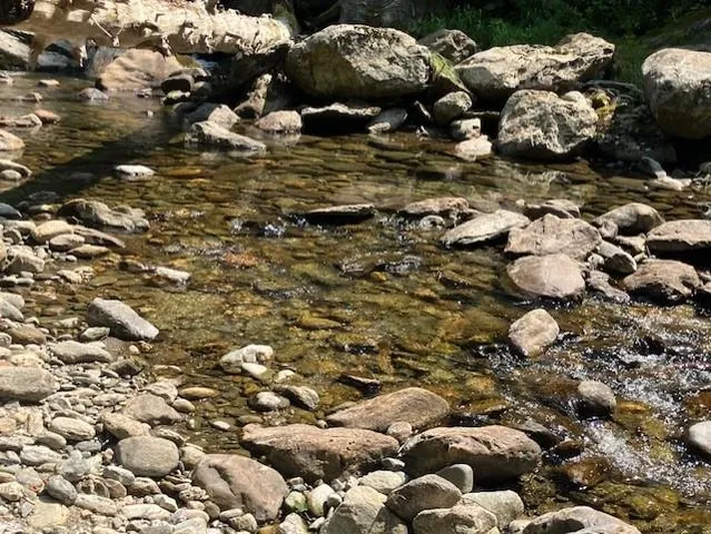 $800,000 | 367 Lower Ring Road, Montgomery, VT 05471