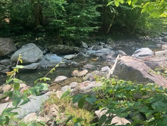 $800,000 | 367 Lower Ring Road, Montgomery, VT 05471