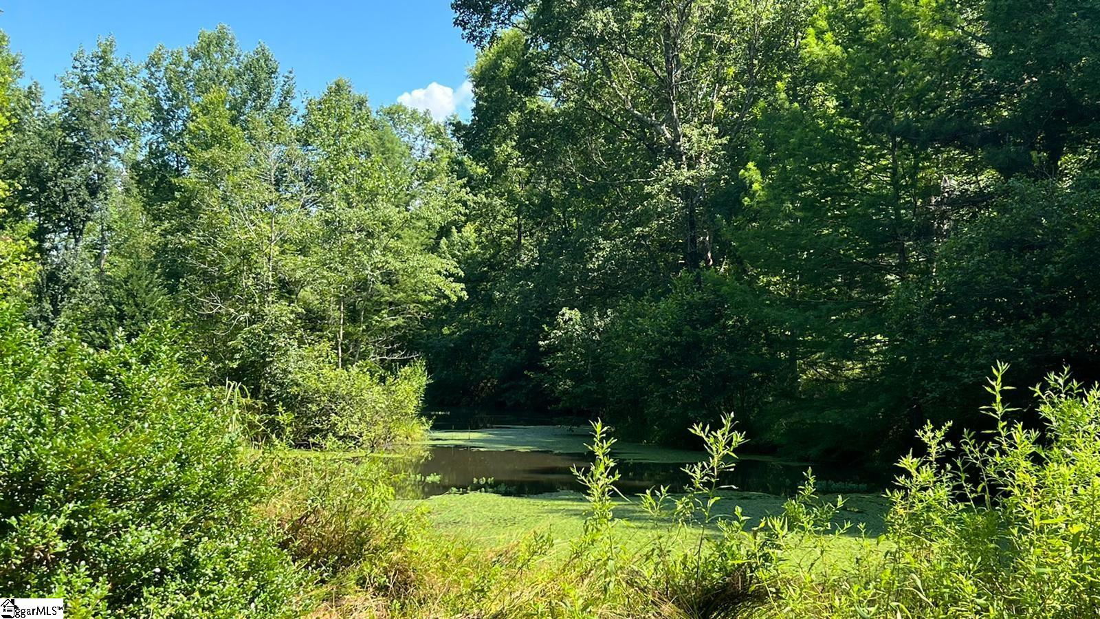655 Pace Bridge Road Easley, SC 29640 - Photo 20 of 36