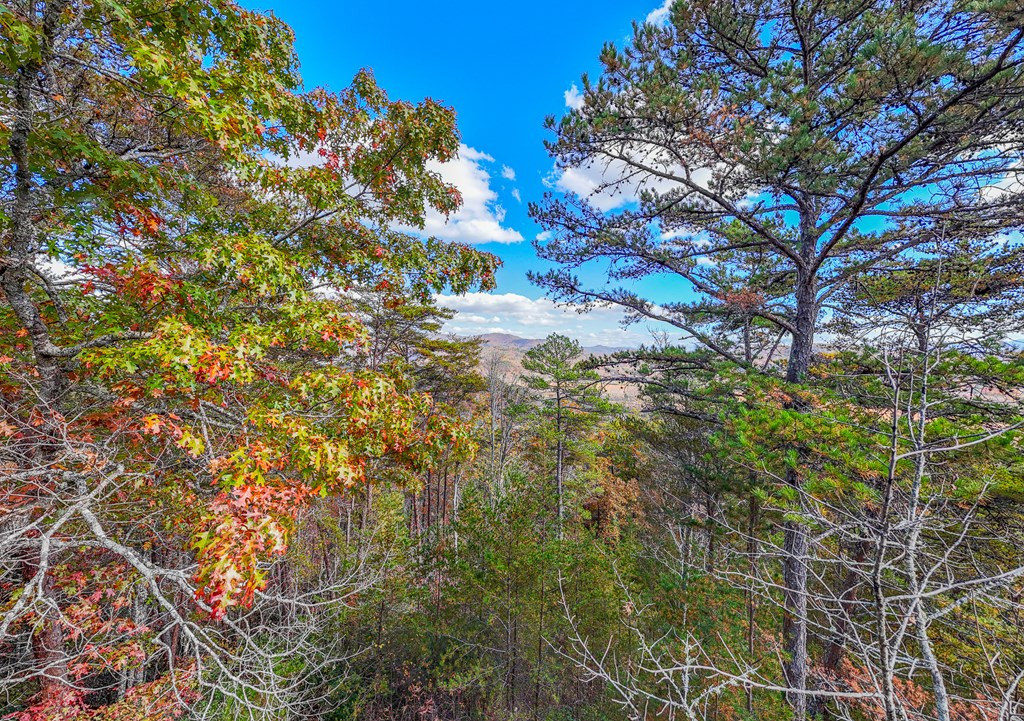 0 Mistletoe Ridge Murphy, NC 28906 - Photo 6 of 34