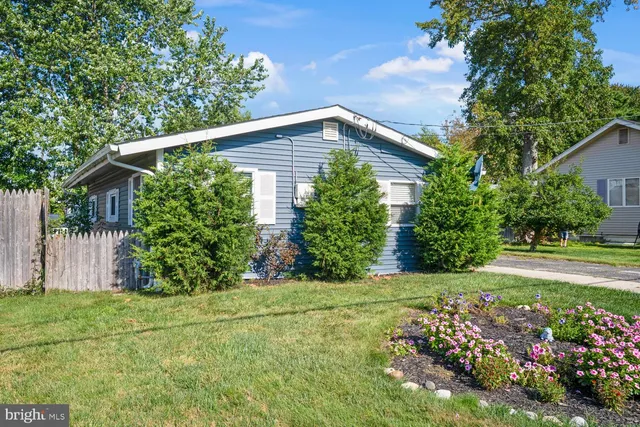 a view of a backyard with plants