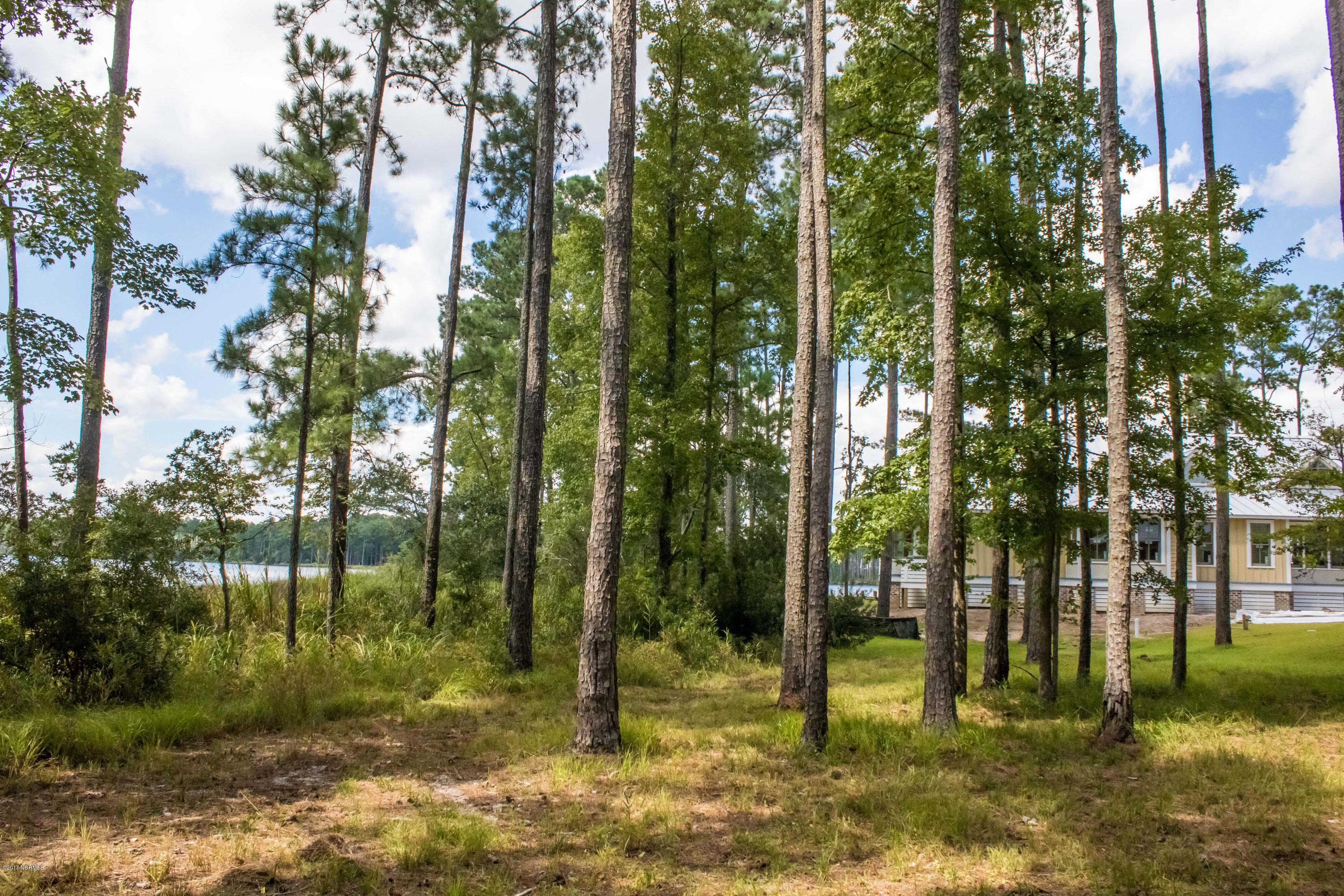 585 Homestead Road Oriental, NC 28571 - Photo 8 of 26 Lot 126 - Broadwater -IMG_2319