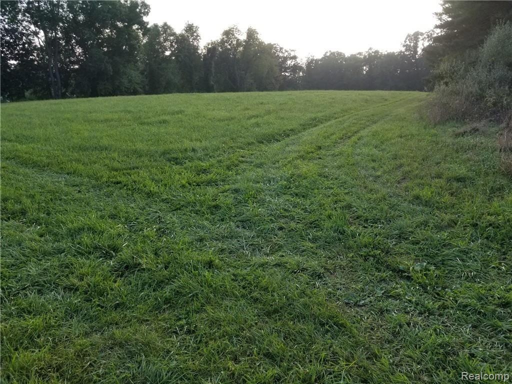 Parcel N Weller Gregory, MI 48137 - Photo 15 of 26