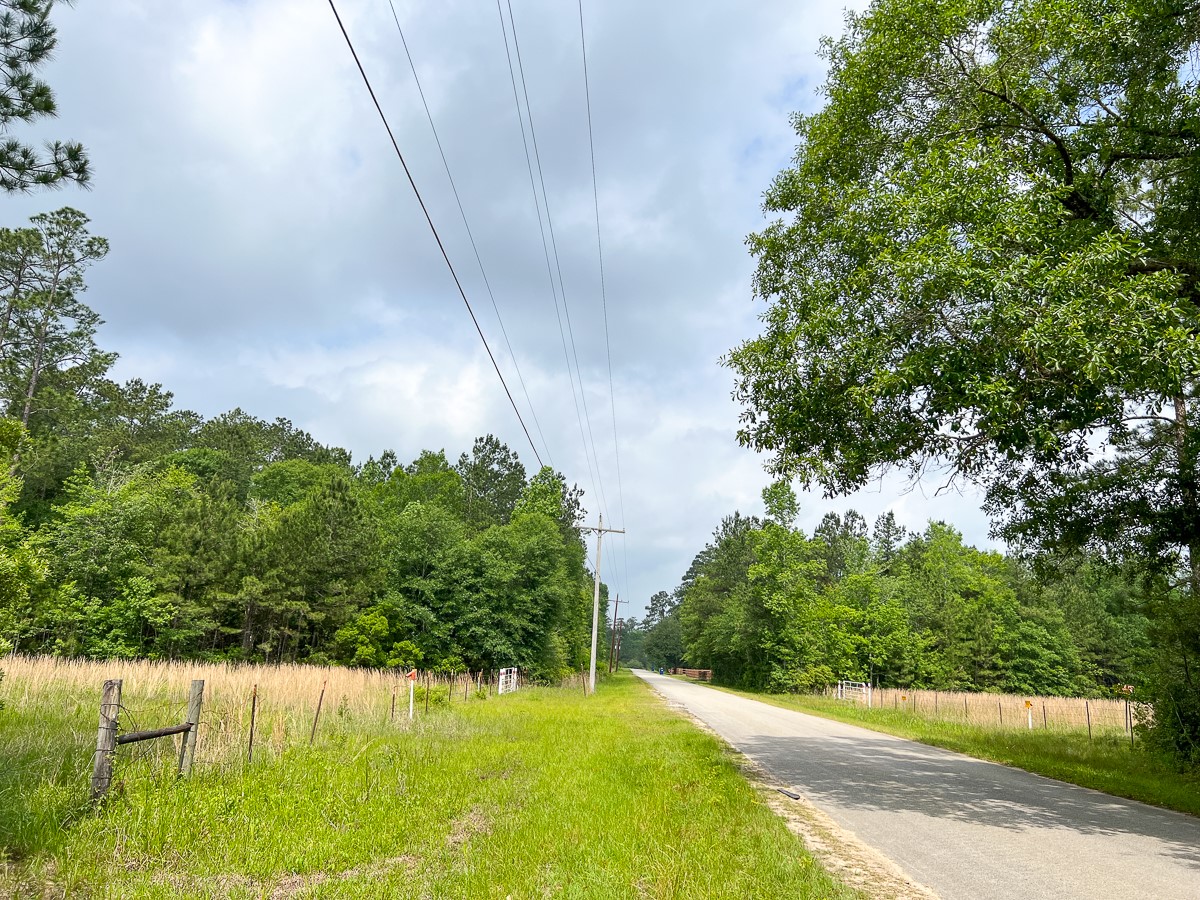 0 Fm 2937 Silsbee, TX 77656 - Photo 4 of 5 a view of yard with green space