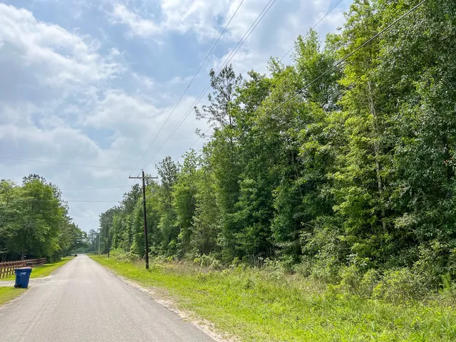 a view of a yard with plants and trees beside of it